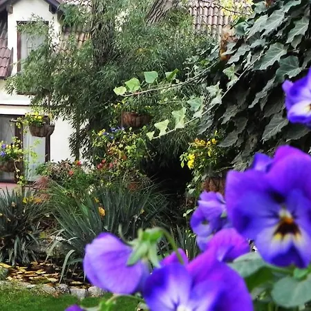 Casa Anna 2* Timişoara