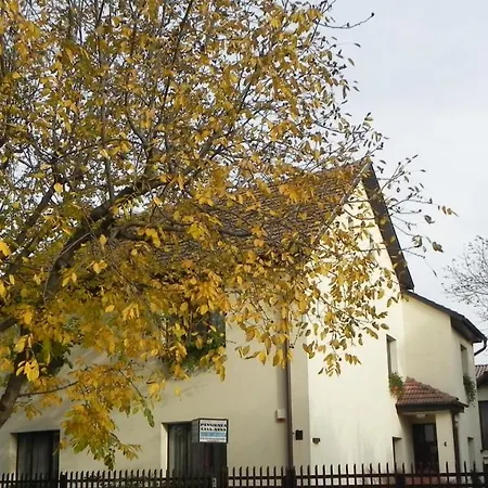 Casa Anna Gasthof Timişoara