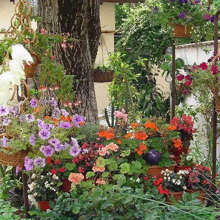 Casa Anna Guest house Timisoara
